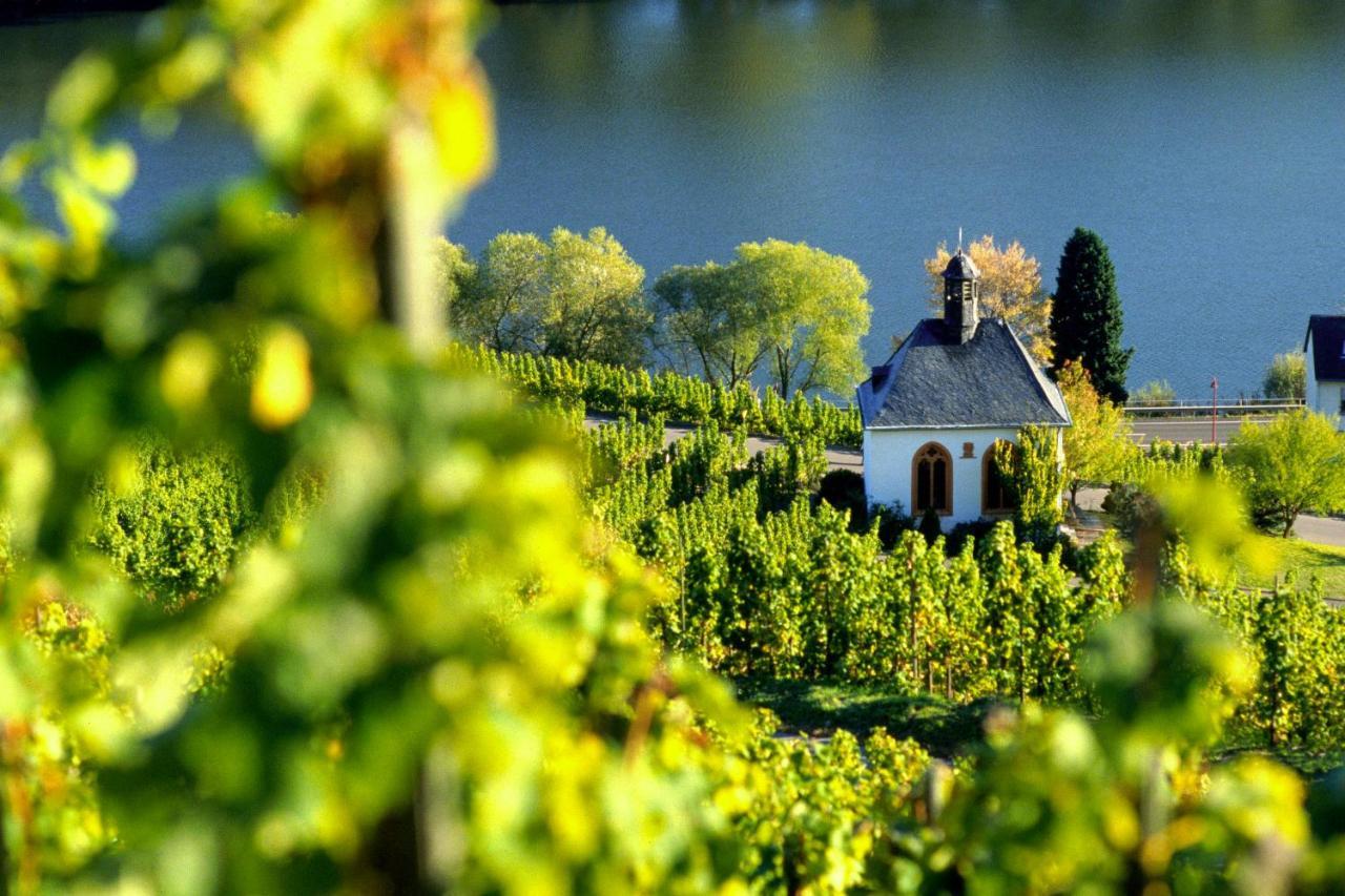 Weingut Christoffel Apartment Kovenig Bagian luar foto